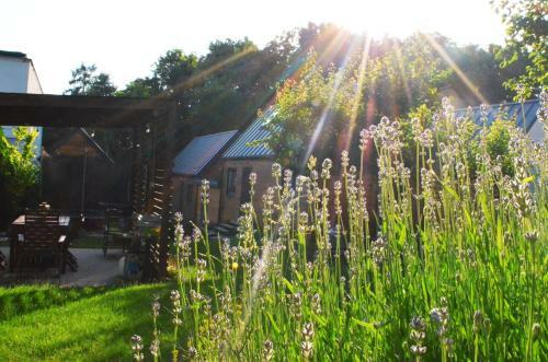 Lodge Lawendowo- Domki, Apartamenty, Sauna I Jacuzzi