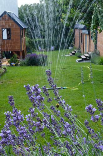 Lodge Lawendowo- Domki, Apartamenty, Sauna I Jacuzzi