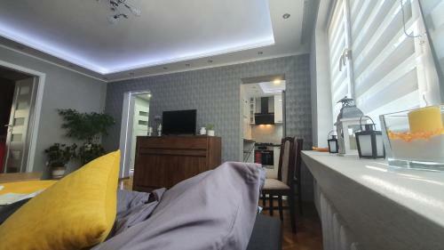Apartament Park Saski