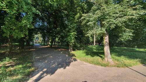 Apartament Park Saski