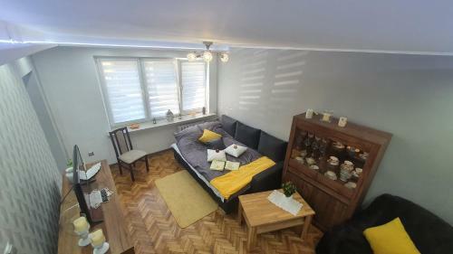 Apartament Park Saski
