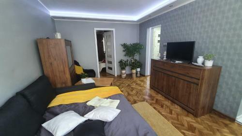 Apartament Park Saski