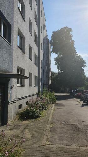 Apartament Park Saski