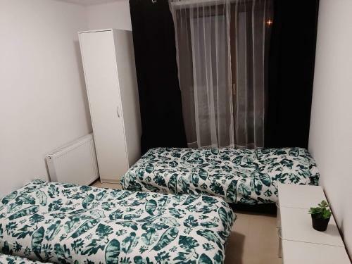 Albergue Noclegi
