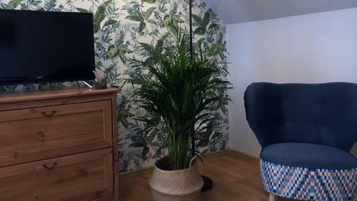 Koralia Domki I Apartamenty