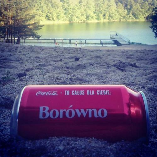Lodge Domek Letniskowy-realizujemy Bony Turystyczne!