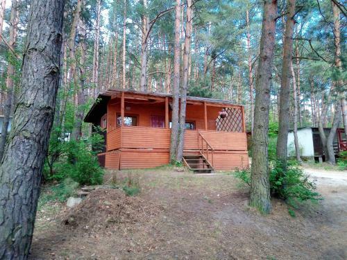Lodge Domek Letniskowy-realizujemy Bony Turystyczne!