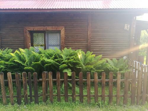 Agroturismo Bieszczadzki Zak?tek :-)