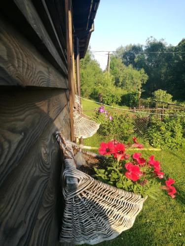 Agroturismo Bieszczadzki Zak?tek :-)