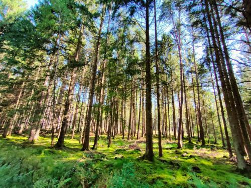 Agroturystyka "dobre Czasy"