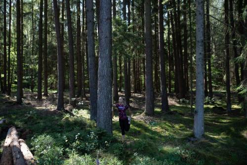 Agroturystyka "dobre Czasy"