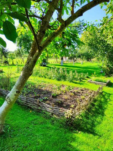 Agroturystyka "dobre Czasy"