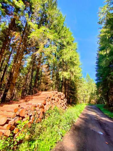 Agroturystyka "dobre Czasy"