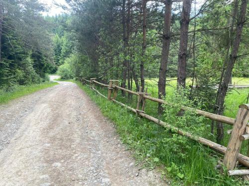 Smerekowiec Domek W Lesie