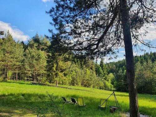 Smerekowiec Domek W Lesie