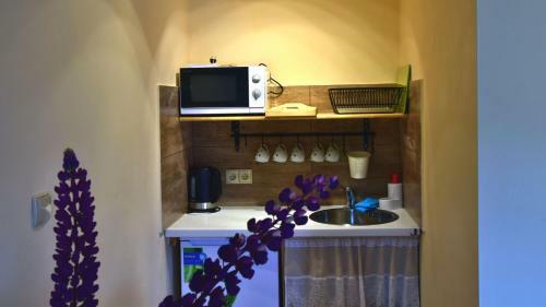 Apartamenty Pod Jesionem