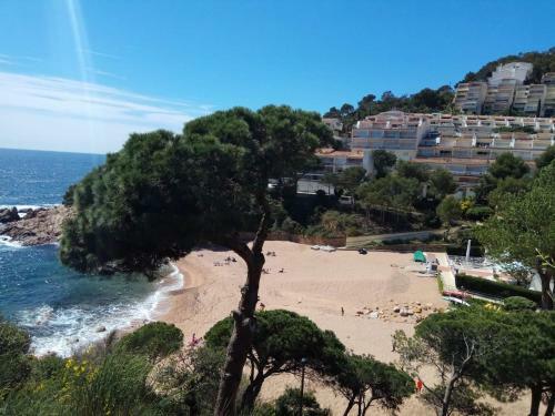 Apartamento Cala Salions, Chalana II