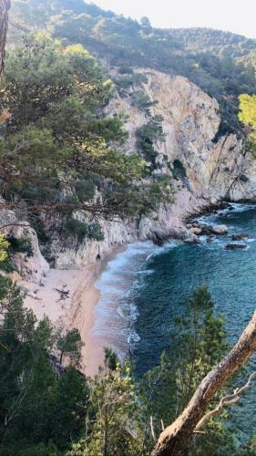 Apartamento Cala Salions, Chalana II