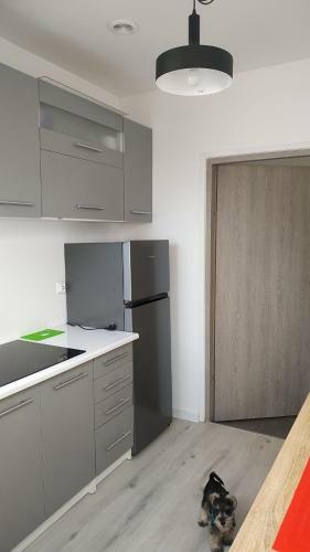 Apartament Witkacego Zielony