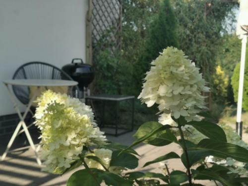 Sunny Garden Apartment