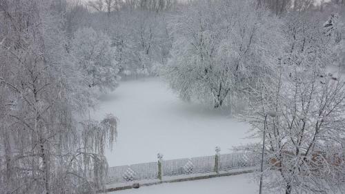 Apartament Park