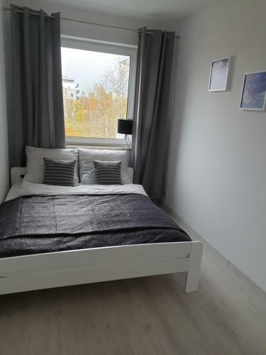 Caskada Modern Apartment 3