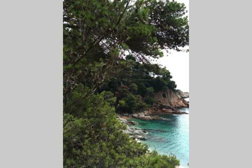 Apartamento Tossa De Mar, Miramar