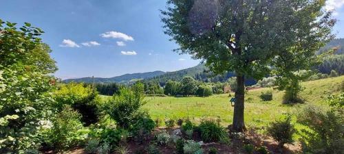 Hostal Agroturystyka S?oneczny Zak?tek