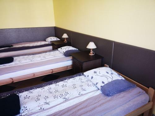 Apartamenty Sok�?ka