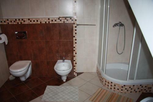 Apartamenty Sok�?ka