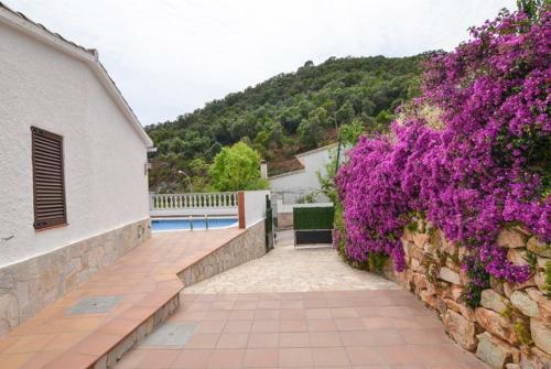 Club Villamar - Thelma