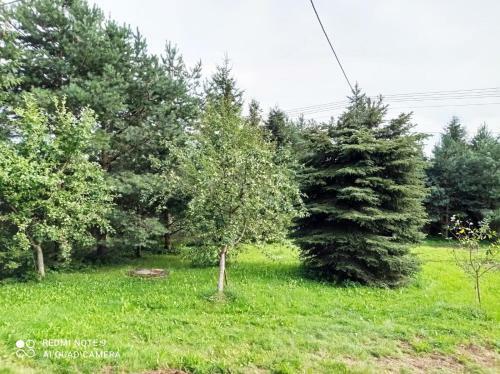Gospodarstwo Agroturystyczne U Stasik�w