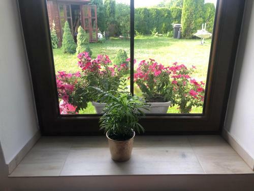 Apartament Studio Spytkowice