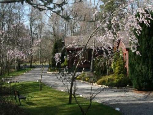Tullochwood Lodges
