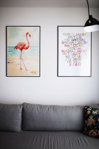 One Apartment