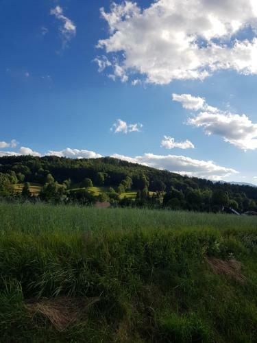 Domek Drwala K. Karpacza