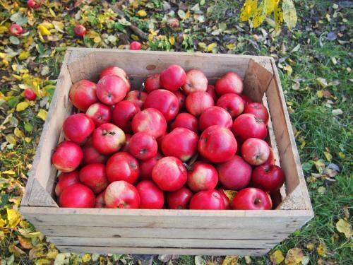 Agroturystyka Lolkowo