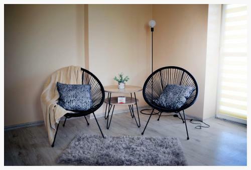 Color 24 Apartament II