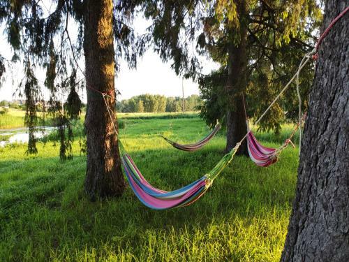 Srokowski Dw�r 1 - Mazurski Dw�r
