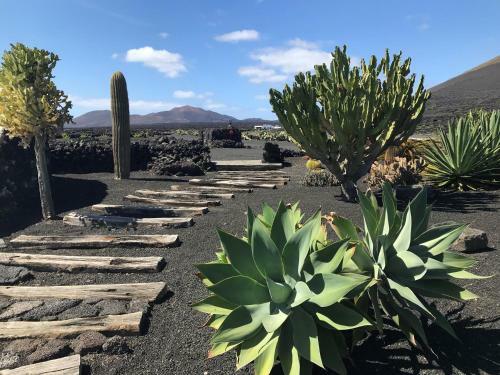 Luxe Ecovilla List�n