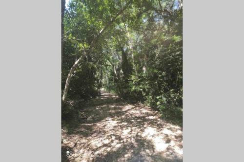Apartamento Familiar Junto A Pinedas Mediterr�neas