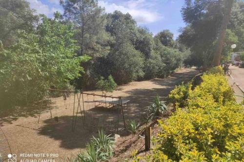 Apartamento Familiar Junto A Pinedas Mediterr�neas
