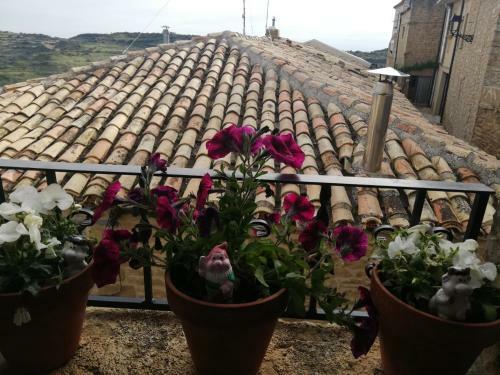 Casa Rural Pilarra�a