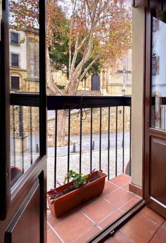 Balcones Con Encanto