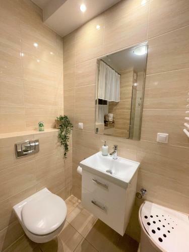 Apartament Aga