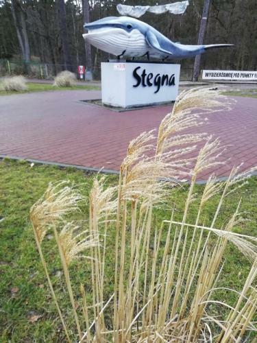 Apartament Ami Stegna