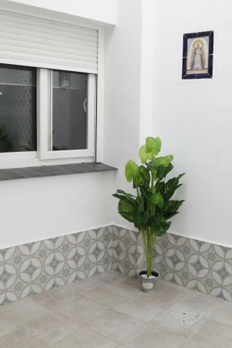 Apartamento Vivienda Ni�o Perdido