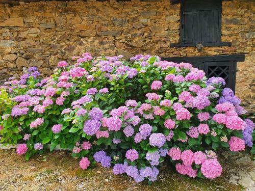 G�te De Charme Lodge En Pays Basque