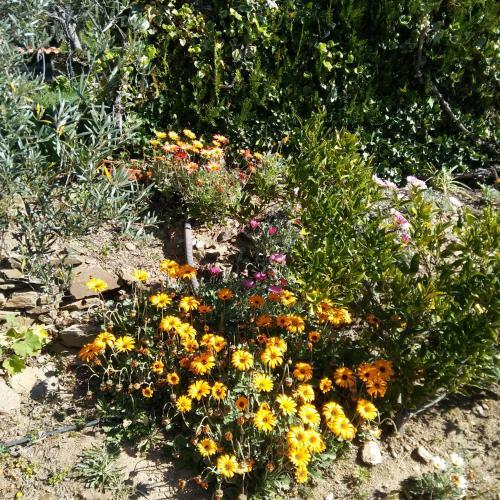 Posada La Caba�a Romantica De Llano