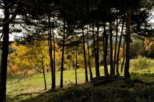 Agroturismo Cal Pon� De Belians